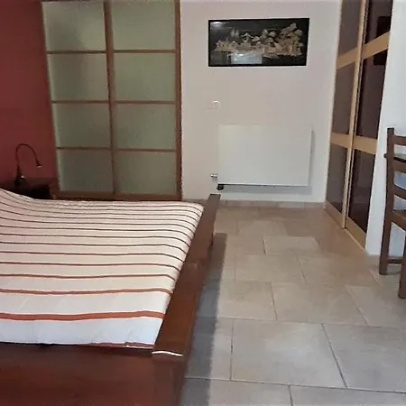 Artzamendi, Askar, 3 Etoiles De 113 M2 アパート ユスタリッツ